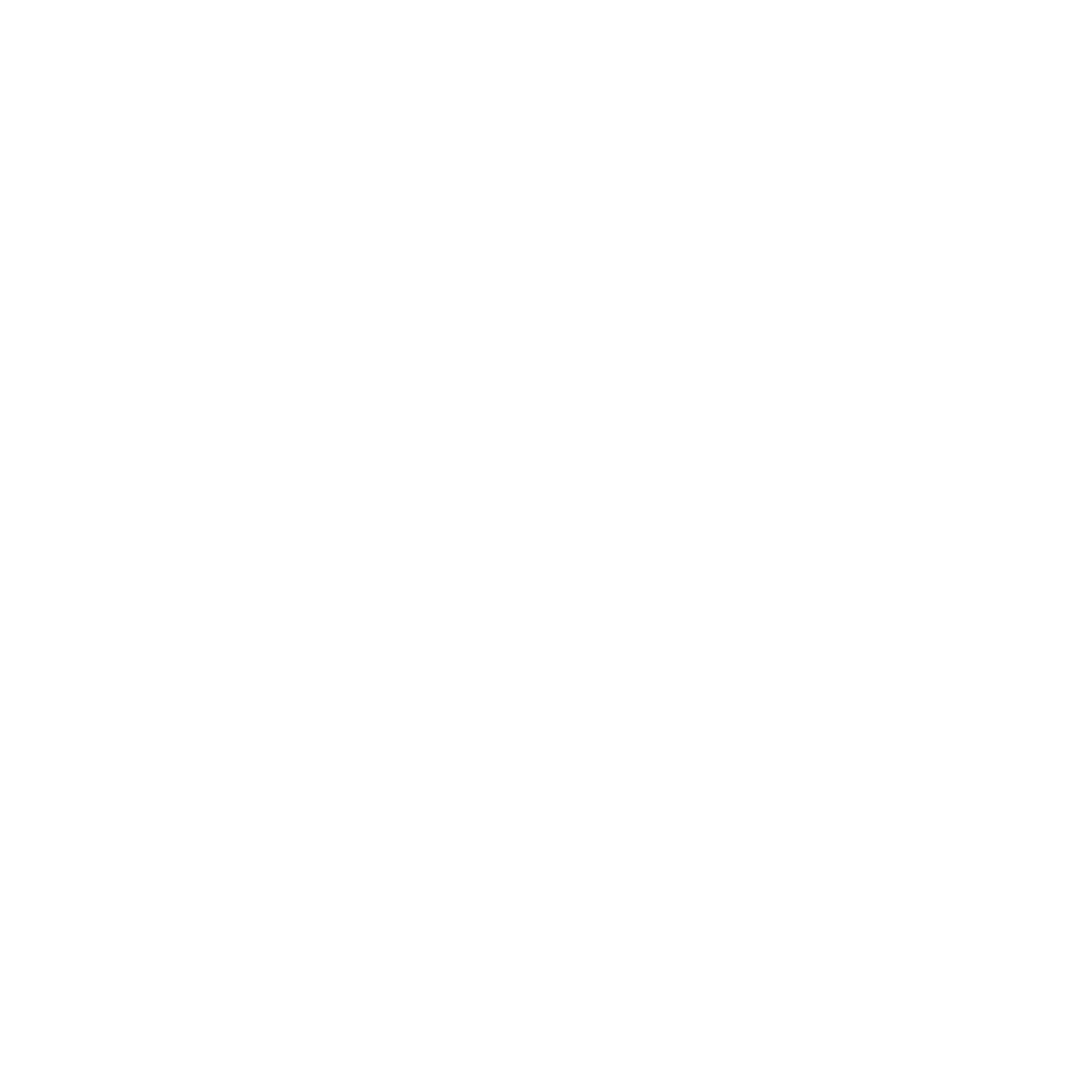 NICE Recovery Systems